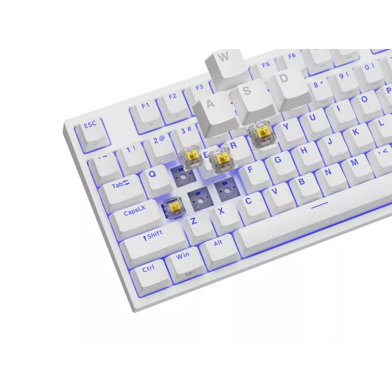 GENESIS Thor 404 TKL toetsenbord gaming USB QWERTY US International wit