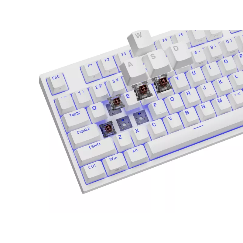 GENESIS Thor 404 TKL toetsenbord gaming USB QWERTY US International wit