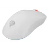 GENESIS Zircon XIII Muis Gaming Ambidextrous RF Draadloos + USB Type-C Optisch 26000 DPI