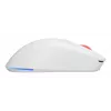 GENESIS Zircon XIII Muis Gaming Ambidextrous RF Draadloos + USB Type-C Optisch 26000 DPI