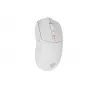 GENESIS Zircon 500 Gaming Muis Rechtshandig RF Draadloos + Bluetooth + USB Type-C Optisch 10000 DPI