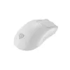 GENESIS Zircon 500 Gaming Muis Rechtshandig RF Draadloos + Bluetooth + USB Type-C Optisch 10000 DPI