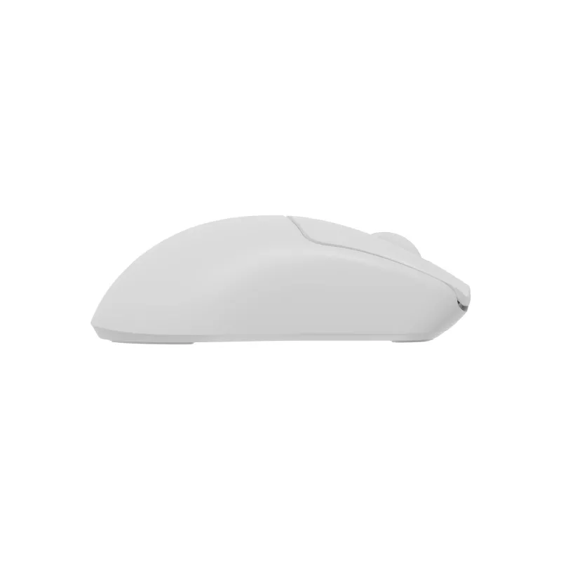 GENESIS Zircon 500 Gaming Muis Rechtshandig RF Draadloos + Bluetooth + USB Type-C Optisch 10000 DPI