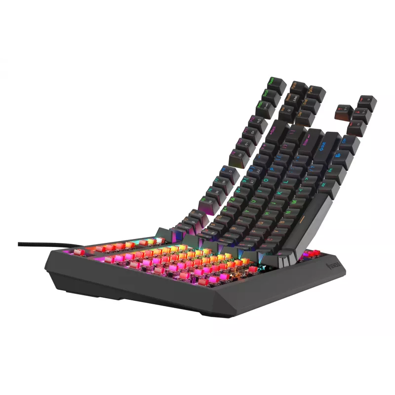 GENESIS Thor 230 TKL Lite Toetsenbord Gaming USB QWERTY Engels zwart