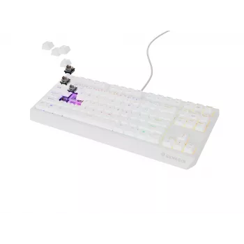 GENESIS Thor 230 TKL Toetsenbord Gaming USB + RF Wireless + Bluetooth QWERTY wit