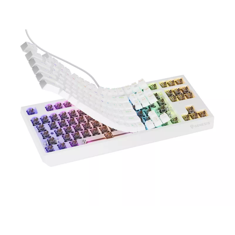 Genesis Thor 230 TKL bedraad mechanisch gamingtoetsenbord, US, wit, Outemu Brown