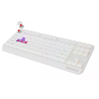 Tenkeyless gaming-toetsenbord GENESIS Thor 230 TKL — USB, RF draadloos, Bluetooth, QWERTY, wit