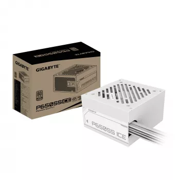 GIGABYTE P650SS ICE voeding - PCIe 5.0, 80 PLUS Silver, 120mm ventilator, ATX 3.0 compatibel, EU-stekker