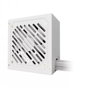 GIGABYTE P650SS ICE voeding - PCIe 5.0, 80 PLUS Silver, 120mm ventilator, ATX 3.0 compatibel, EU-stekker