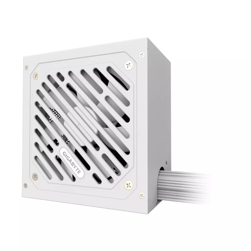 GIGABYTE P650SS ICE voeding - PCIe 5.0, 80 PLUS Silver, 120mm ventilator, ATX 3.0 compatibel, EU-stekker