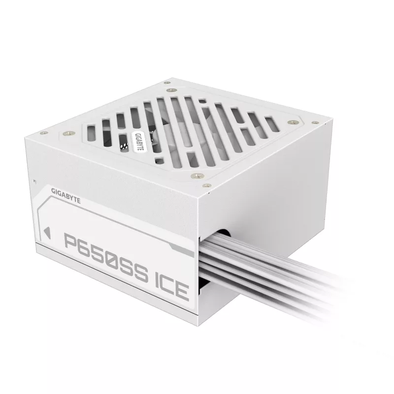 GIGABYTE P650SS ICE voeding - PCIe 5.0, 80 PLUS Silver, 120mm ventilator, ATX 3.0 compatibel, EU-stekker