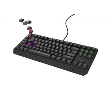 GENESIS Thor 230 TKL toetsenbord Gaming USB + RF Wireless + Bluetooth QWERTY Zwart