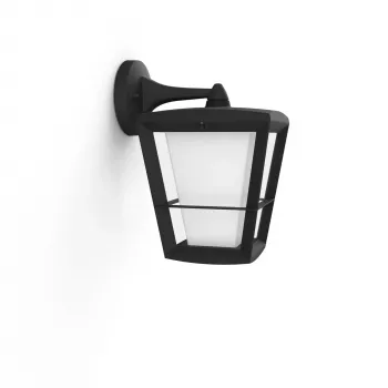 Slimme wandlamp Philips Hue White and Colour Ambience Econic buitenwandlamp