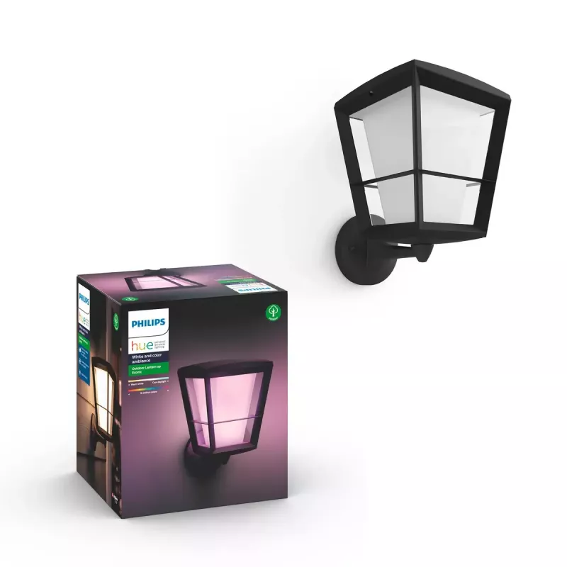 Smart wandlamp Philips Hue White and Colour Ambience Econic buitenwandlamp