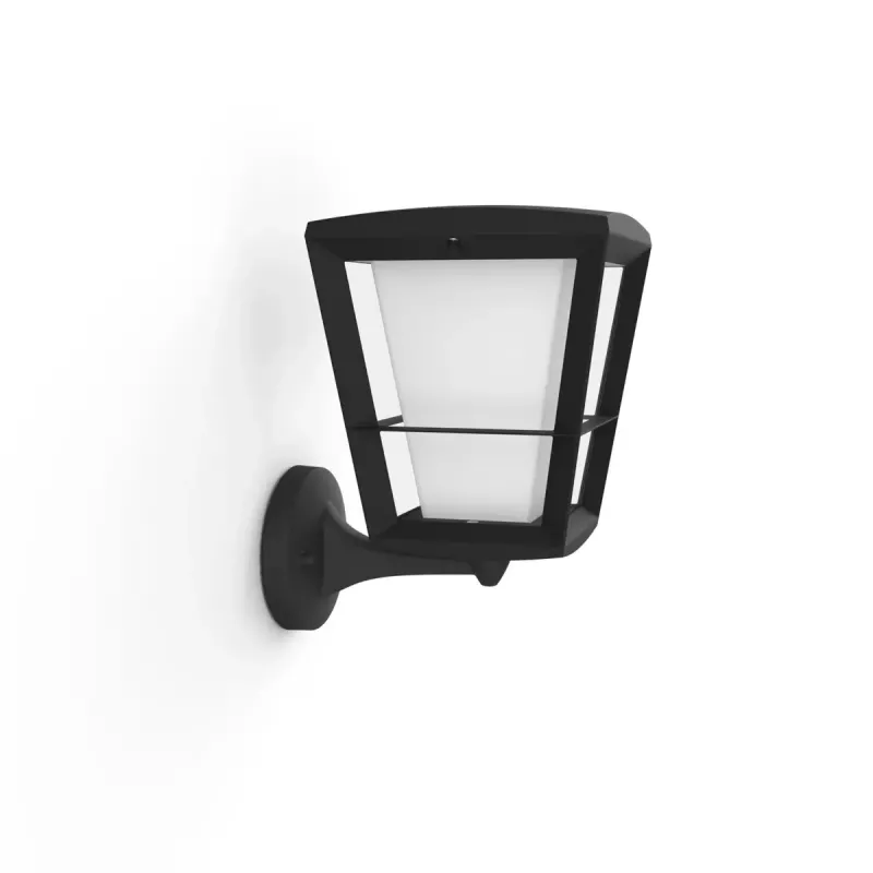 Smart wandlamp Philips Hue White and Colour Ambience Econic buitenwandlamp