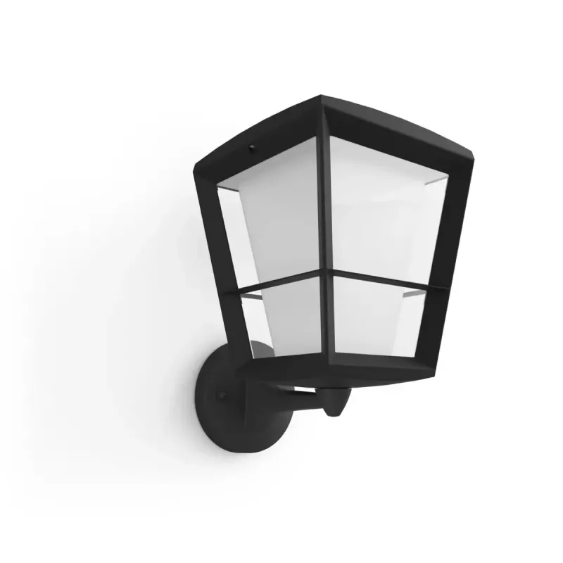 Smart wandlamp Philips Hue White and Colour Ambience Econic buitenwandlamp
