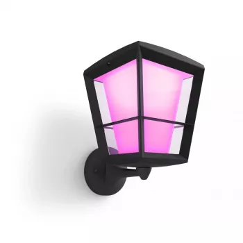 Smart wandlamp Philips Hue White and Colour Ambience Econic buitenwandlamp