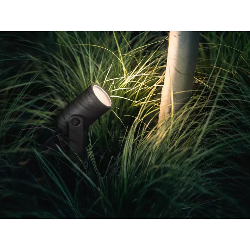 Philips Hue White and Colour Ambience Lily buitenstraler