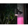 Philips Hue White and Colour Ambience Lily buitenstraler