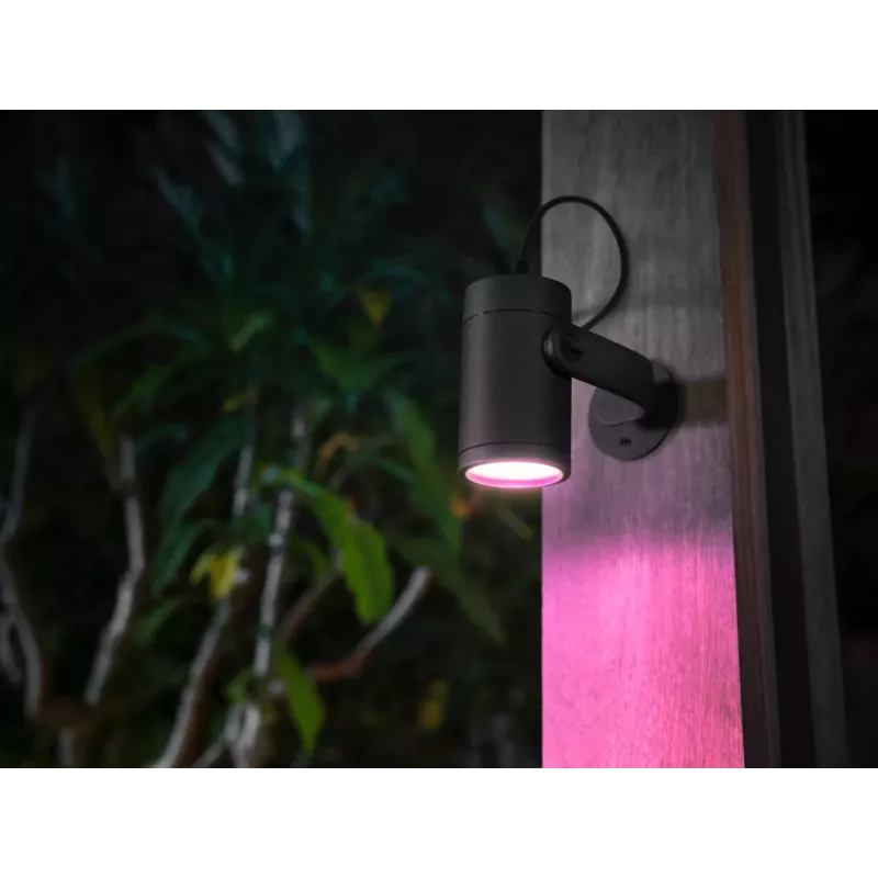 Philips Hue White and Colour Ambience Lily buitenstraler