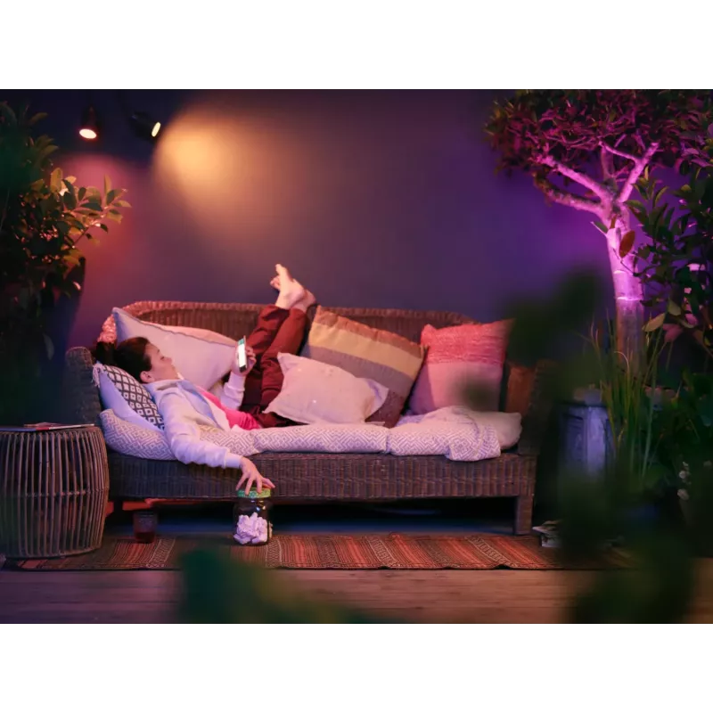 Philips Hue White and Colour Ambience Lily buitenstraler