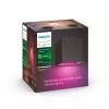 Smart wandlamp Philips Hue White and Colour Ambience Resonate Downward