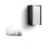 Smart wandlamp Philips Hue White Turaco Outdoor