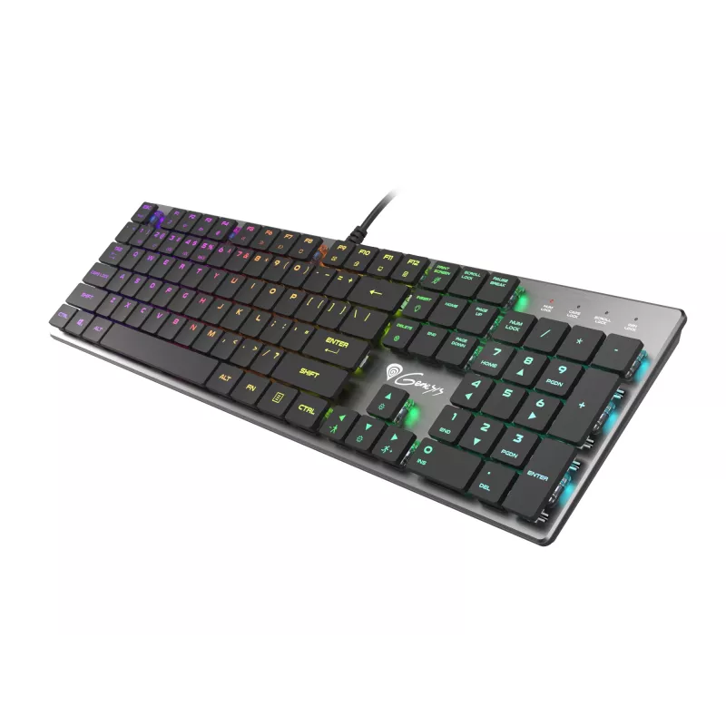 GENESIS Thor 420 RGB Gaming Toetsenbord USB QWERTY US International Zilver