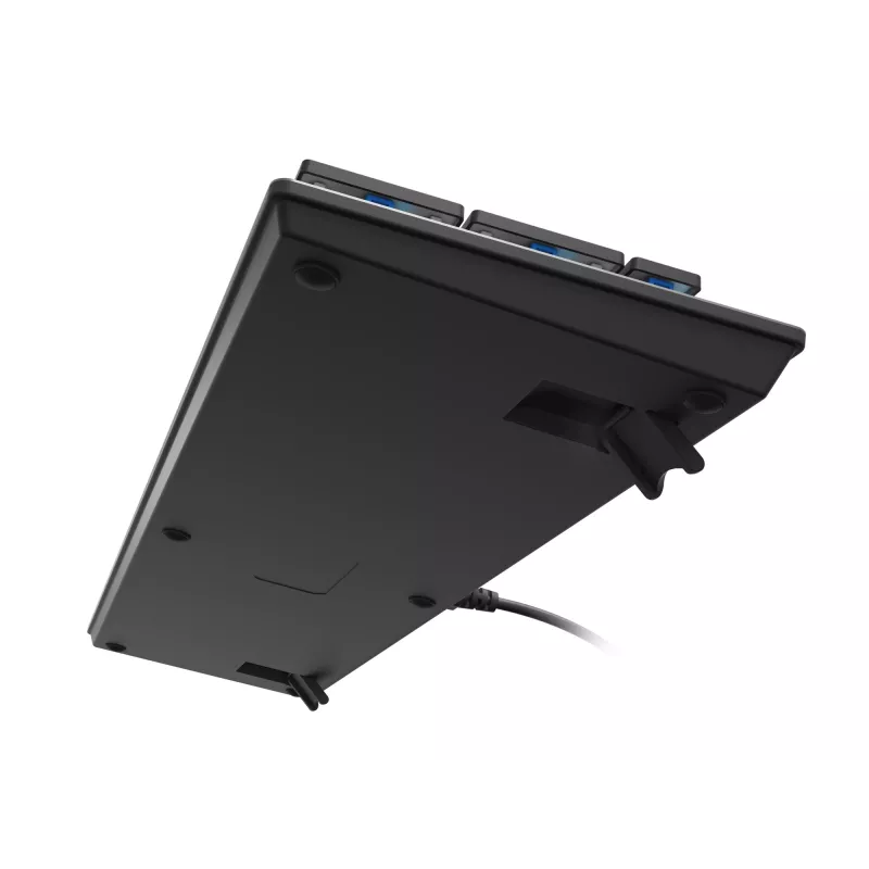 GENESIS Thor 420 RGB Gaming Toetsenbord USB QWERTY US International Zilver