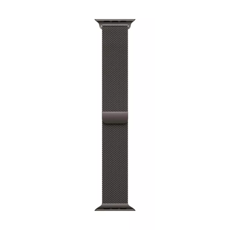 Band Apple MGJ74ZM/A smartwatch-accessoire leisteen RVS 46 mm