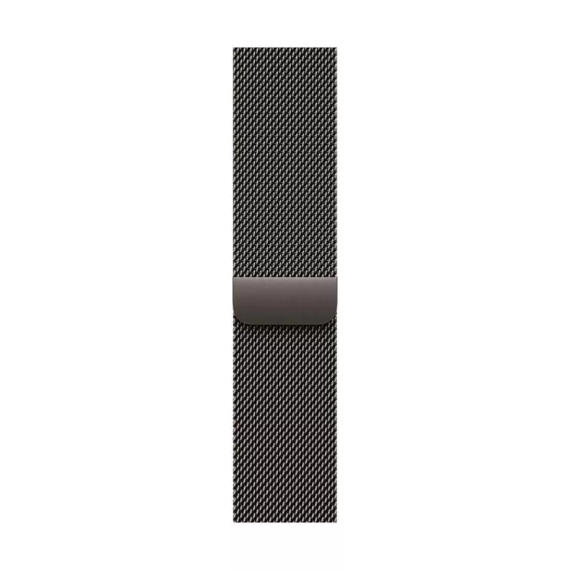 Band Apple MGJ74ZM/A smartwatch-accessoire leisteen RVS 46 mm