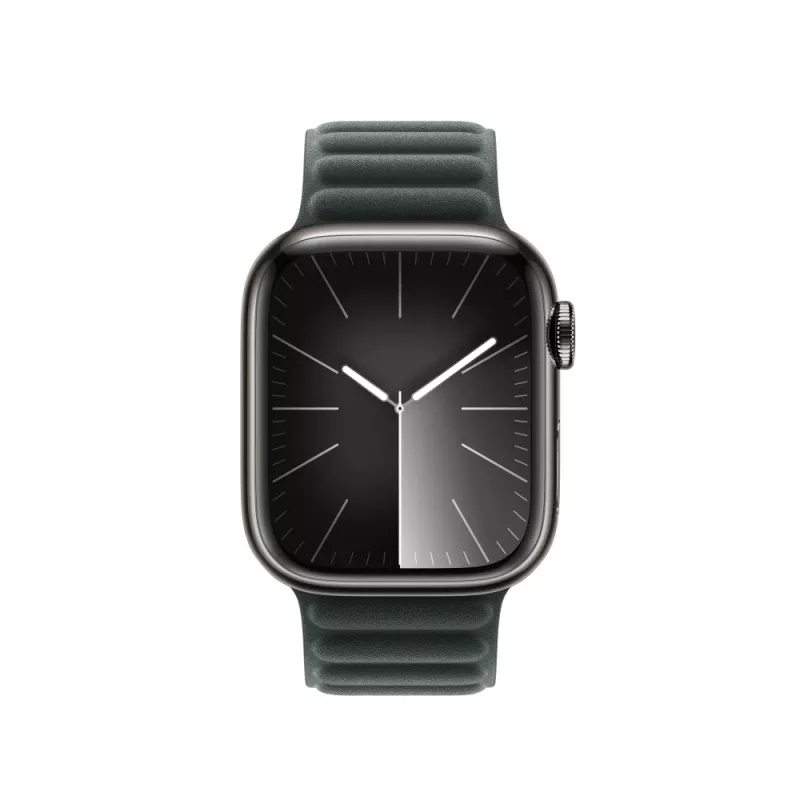 Band Apple 41mm Evergreen Magnetic Link M/L groen