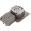 Wandcontactdoos InLine Cat.6 2x RJ45 horizontaal — opbouw- of inbouwmontage