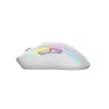 Glorious Gaming Glorious Model D 2 Wireless - matwit, rechtshandig, RF Wireless, 19000 DPI, wit