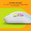 Glorious Gaming Glorious Model D 2 Wireless - matwit, rechtshandig, RF Wireless, 19000 DPI, wit
