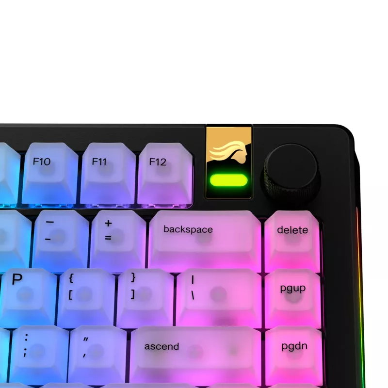 Keycaps GLORIOUS Polychroma V2 RGB US-layout — vervangingsset voor mechanische toetsenborden