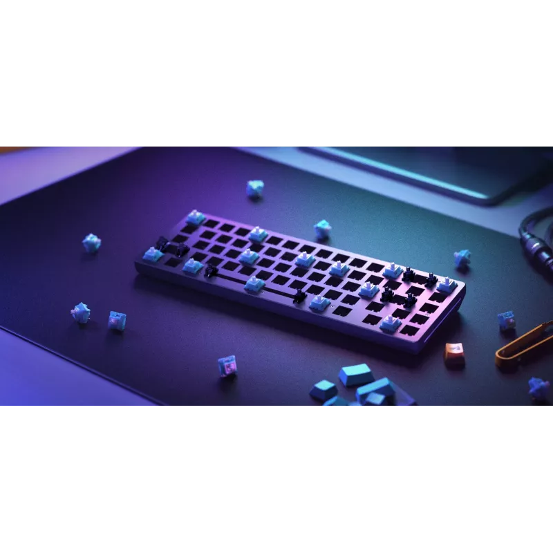 Glorious Gaming GMMK 2 toetsenbord USB US English zwart