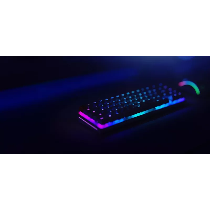 Glorious Gaming GMMK 2 toetsenbord USB US English zwart