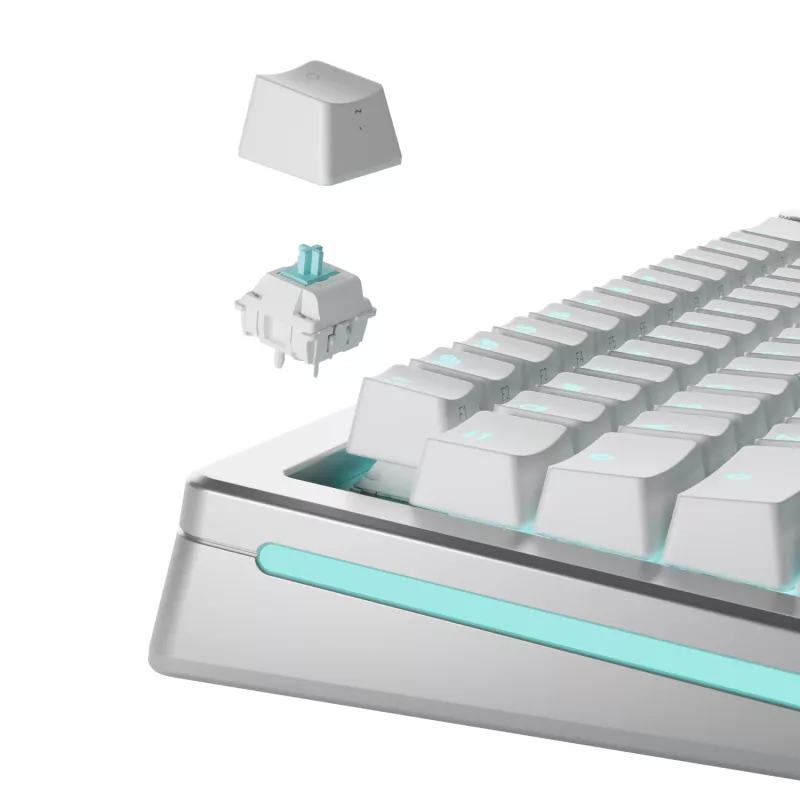 Toetsenbordschakelaars GLORIOUS Lynx Linear Mechanical Switches — 36 stuks, polycarbonaat, cyaan-translucent