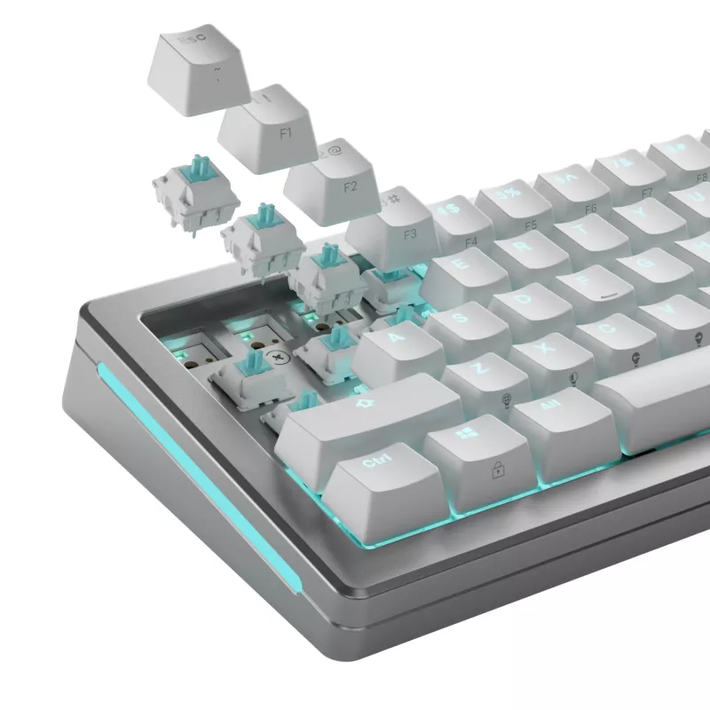 Toetsenbordschakelaars GLORIOUS Lynx Linear Mechanical Switches — 36 stuks, polycarbonaat, cyaan-translucent