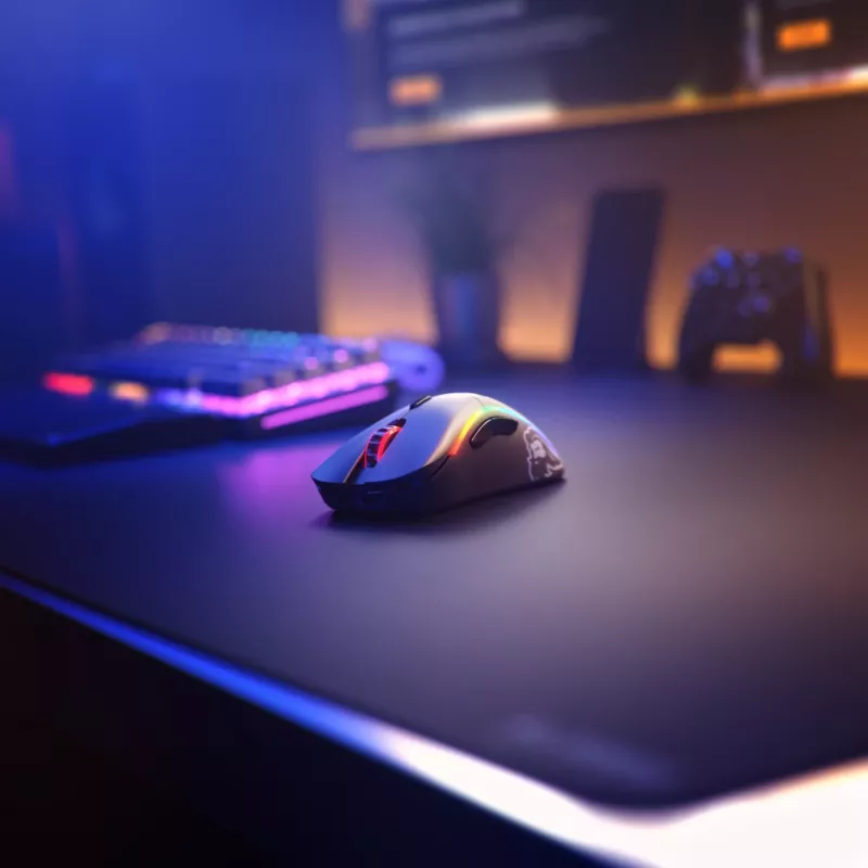 Glorious Gaming Glorious Model D Minus Wireless - matzwart