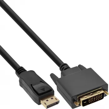 InLine DisplayPort naar DVI converterkabel, zwart, 2 m