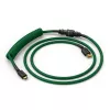 Glorious Gaming Glorious GMMK spiraalkabel Forest Rain, groen, 1,4 m, 1 stk., Glorious Gaming, USB Type-A, USB Type-C, Aviator