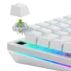 Glorious Gaming Glorious Raptor Clicky mechanische switches – 36 stuks
