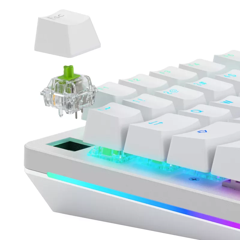 Glorious Gaming Glorious Raptor Clicky mechanische switches – 36 stuks