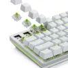 Glorious Gaming Glorious Raptor Clicky mechanische switches – 36 stuks