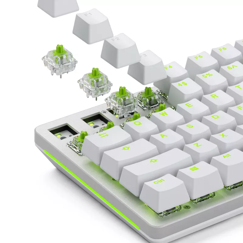 Glorious Gaming Glorious Raptor Clicky mechanische switches – 36 stuks