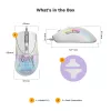 Glorious Gaming Glorious Model D 2 Wired - matwit, rechtshandig, optisch, USB Type-A, 26000 DPI, wit