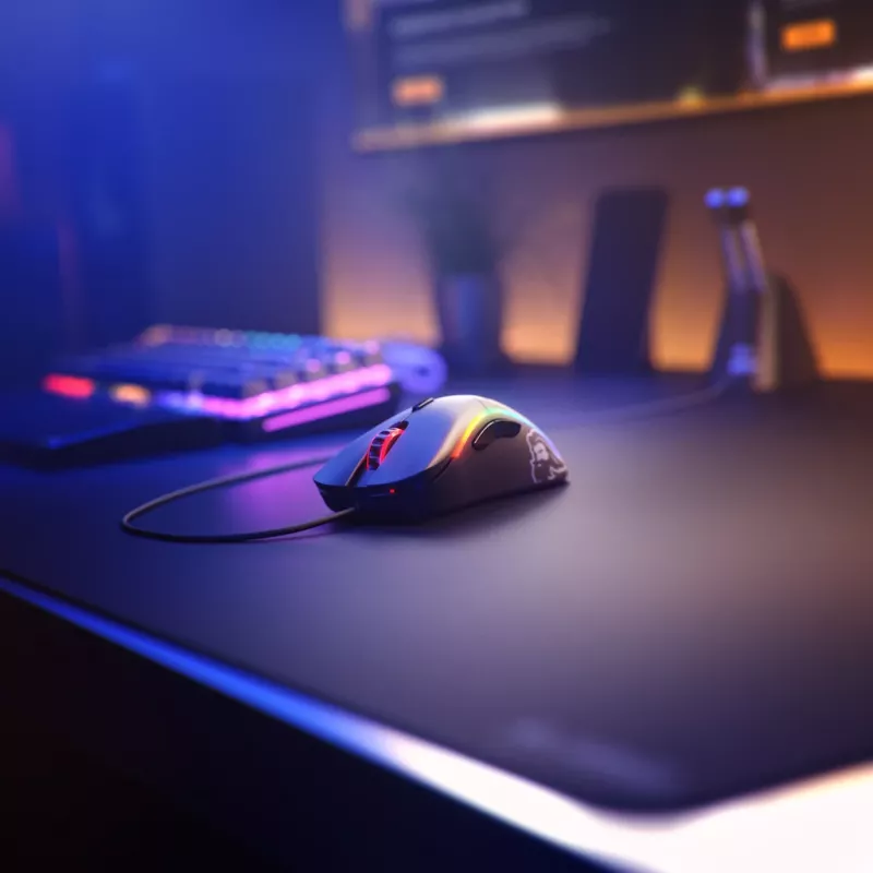 Muis Glorious PC Gaming Race Model D Minus USB Type-A