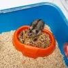 Kooi FERPLAST Combi 2 voor hamsters, blauw transparant, B795×T295×H263 mm, technopolymeer